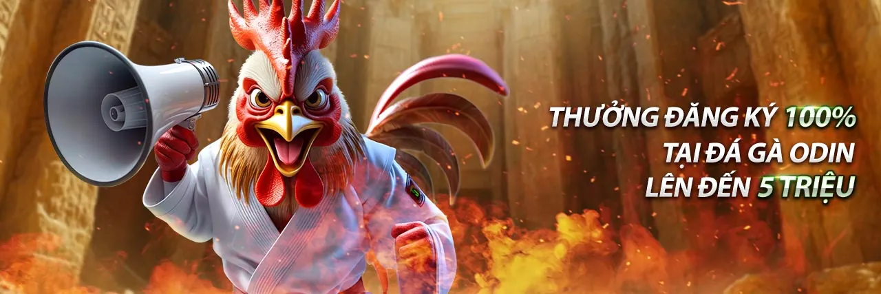 Ứng Dụng dwin456 Trên Điện Thoại